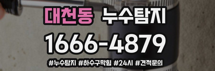 누수닥터 누수탐지