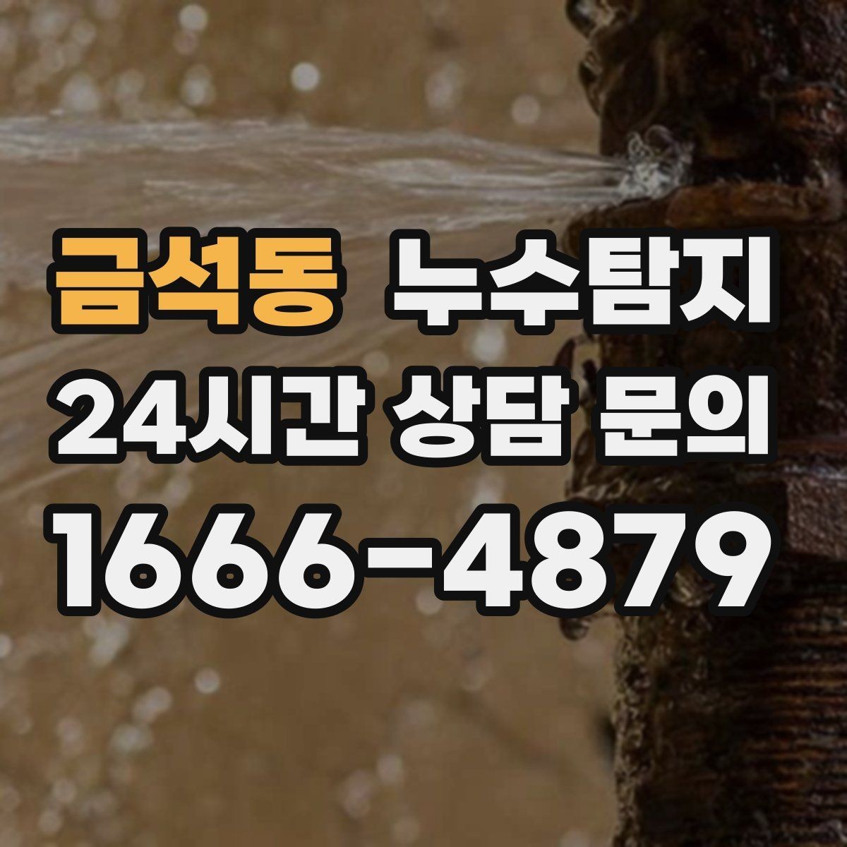 금석동 누수탐지 배수 트랩 점검으로 냄새 해결