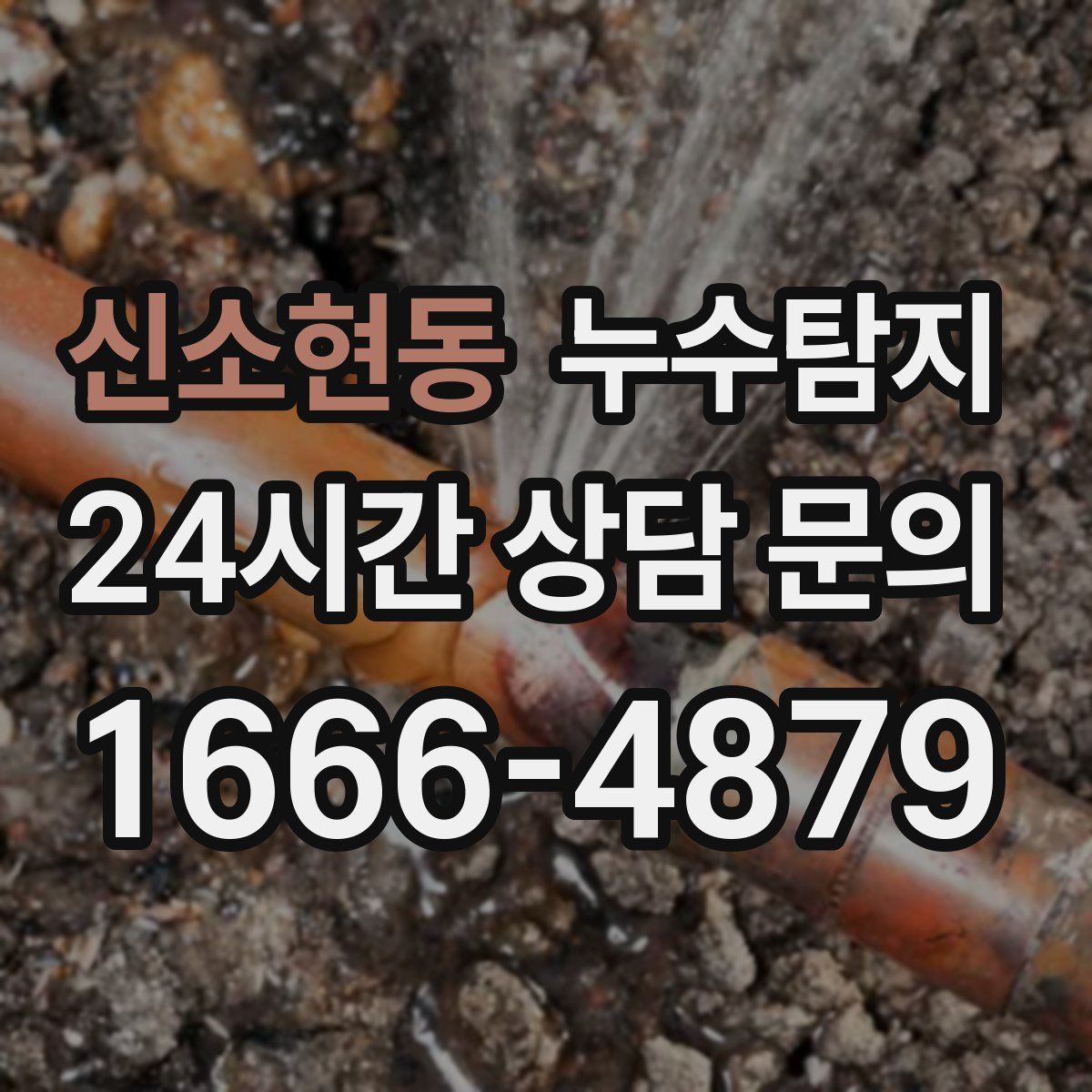 누수탐지