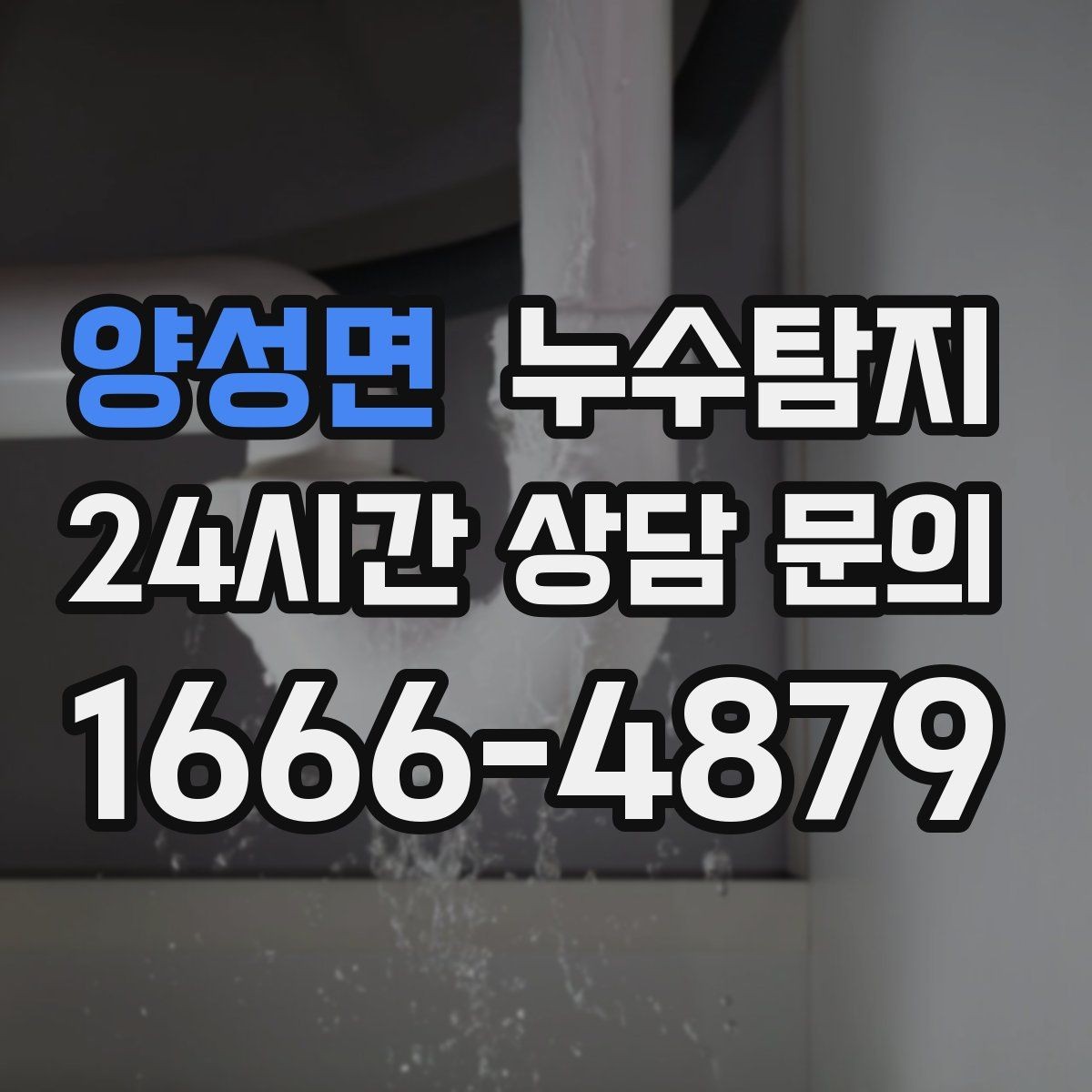 양성면 누수탐지 냉매 배관 결로와 구분 사례