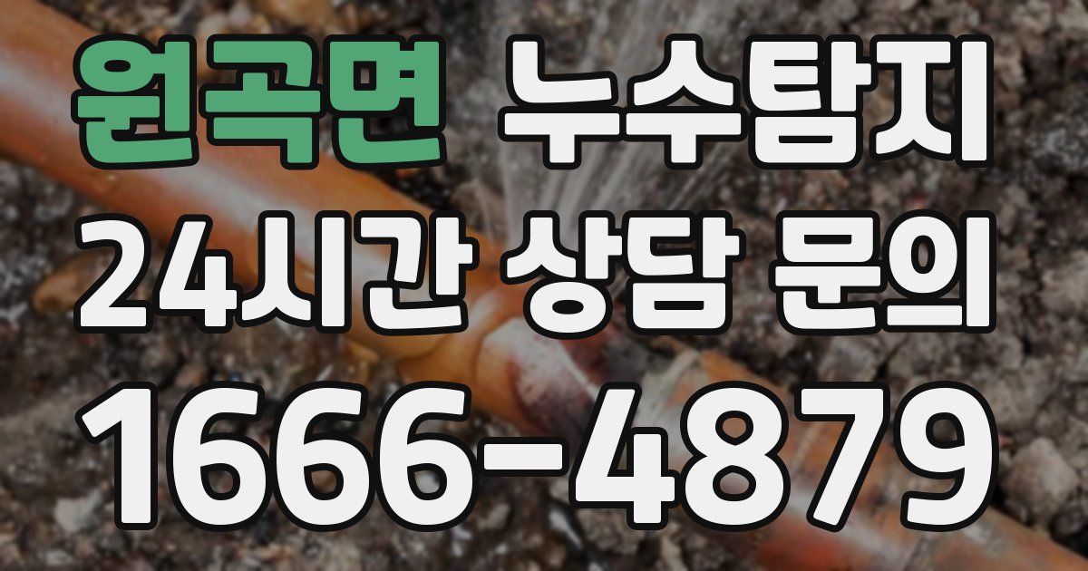 하수구막힘