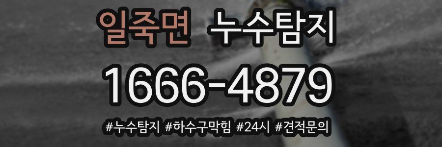 누수닥터 누수탐지