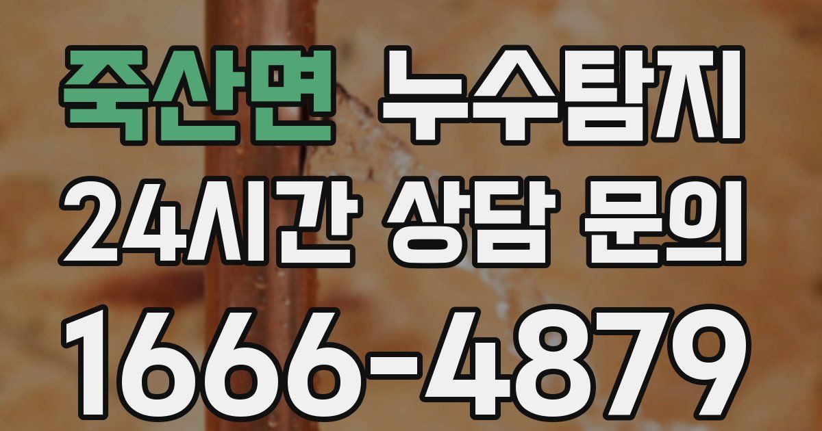 하수구막힘