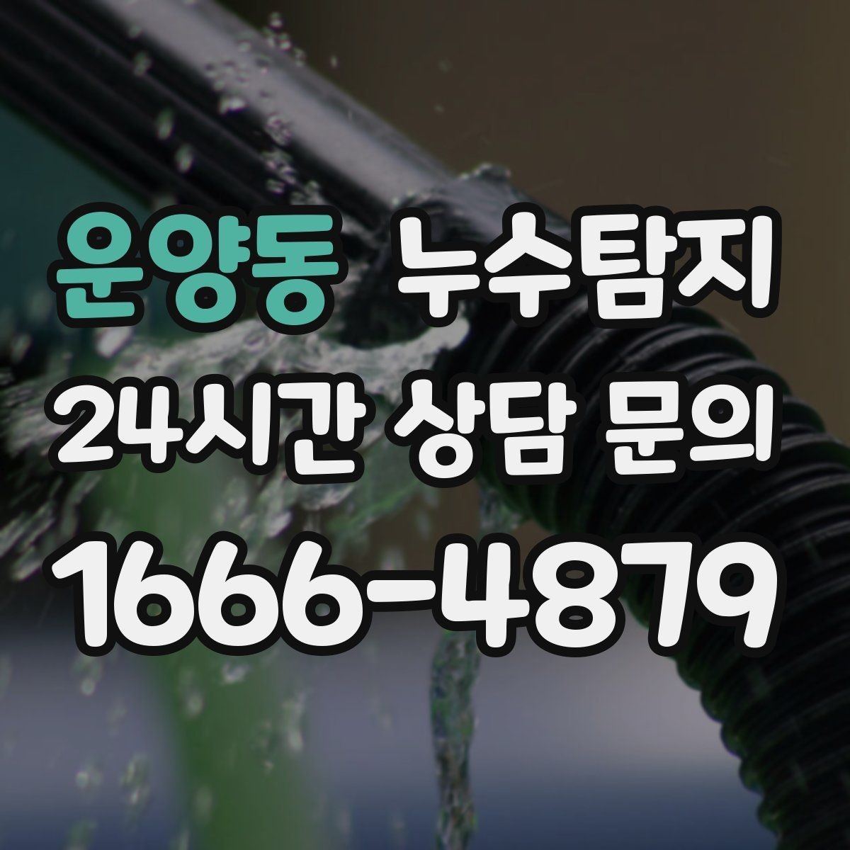 운양동 누수탐지 우수관 배수 상태 예방 점검