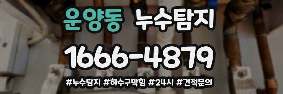 누수닥터 누수탐지