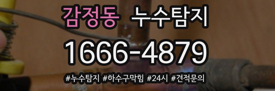 누수닥터 누수탐지