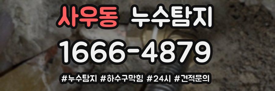 누수닥터 누수탐지