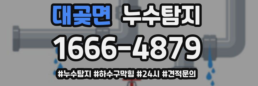 누수닥터 누수탐지