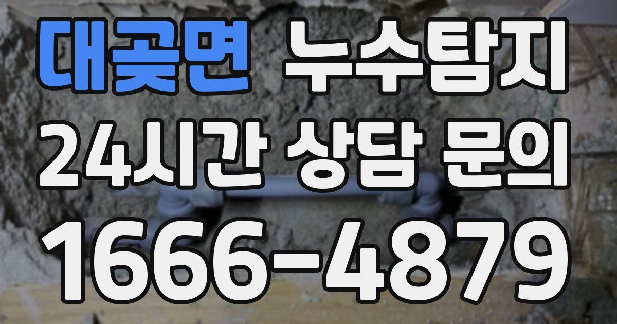 하수구막힘