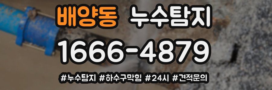 누수닥터 누수탐지