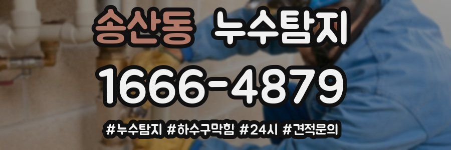 누수닥터 누수탐지