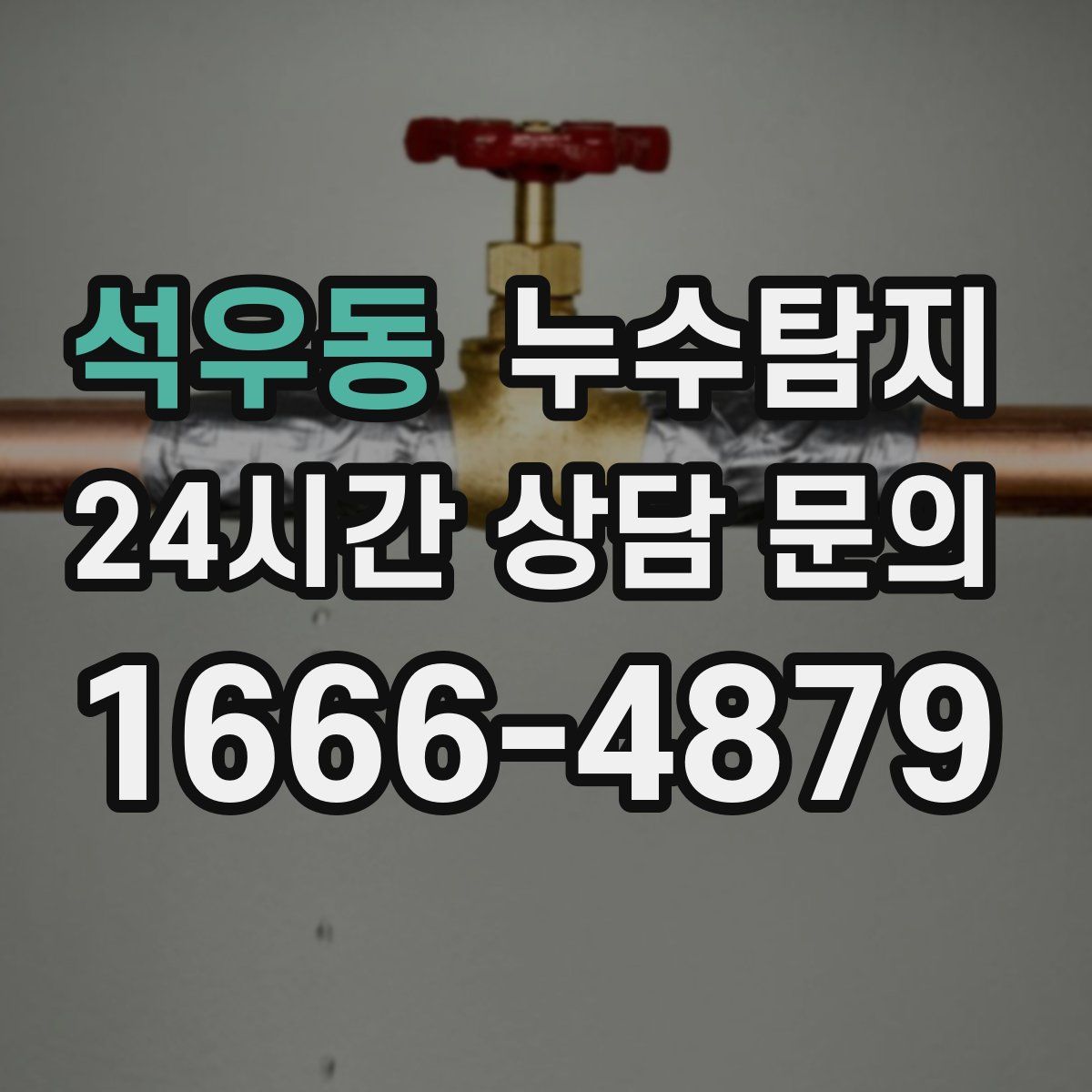 누수탐지
