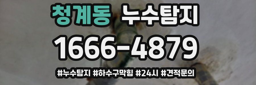 누수닥터 누수탐지