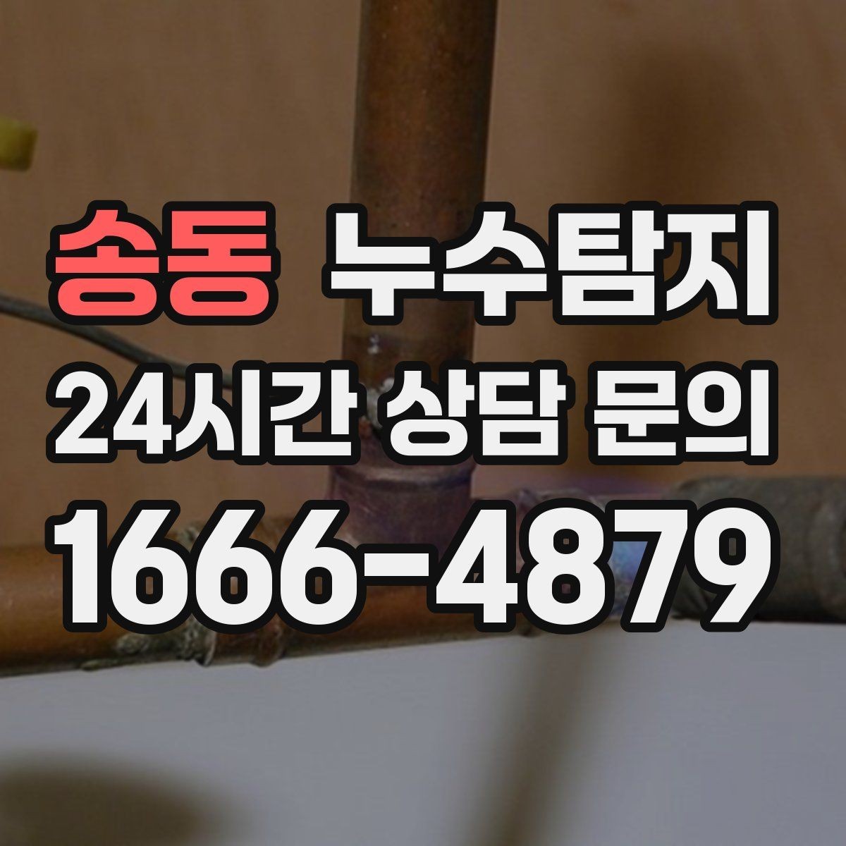 송동 누수탐지 세탁기 배수관 누수 해결