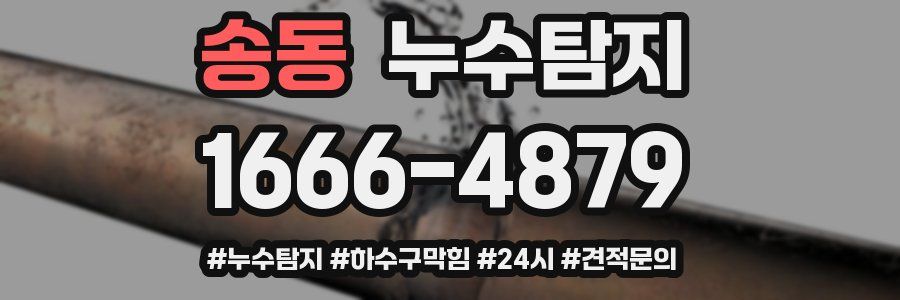 누수닥터 누수탐지