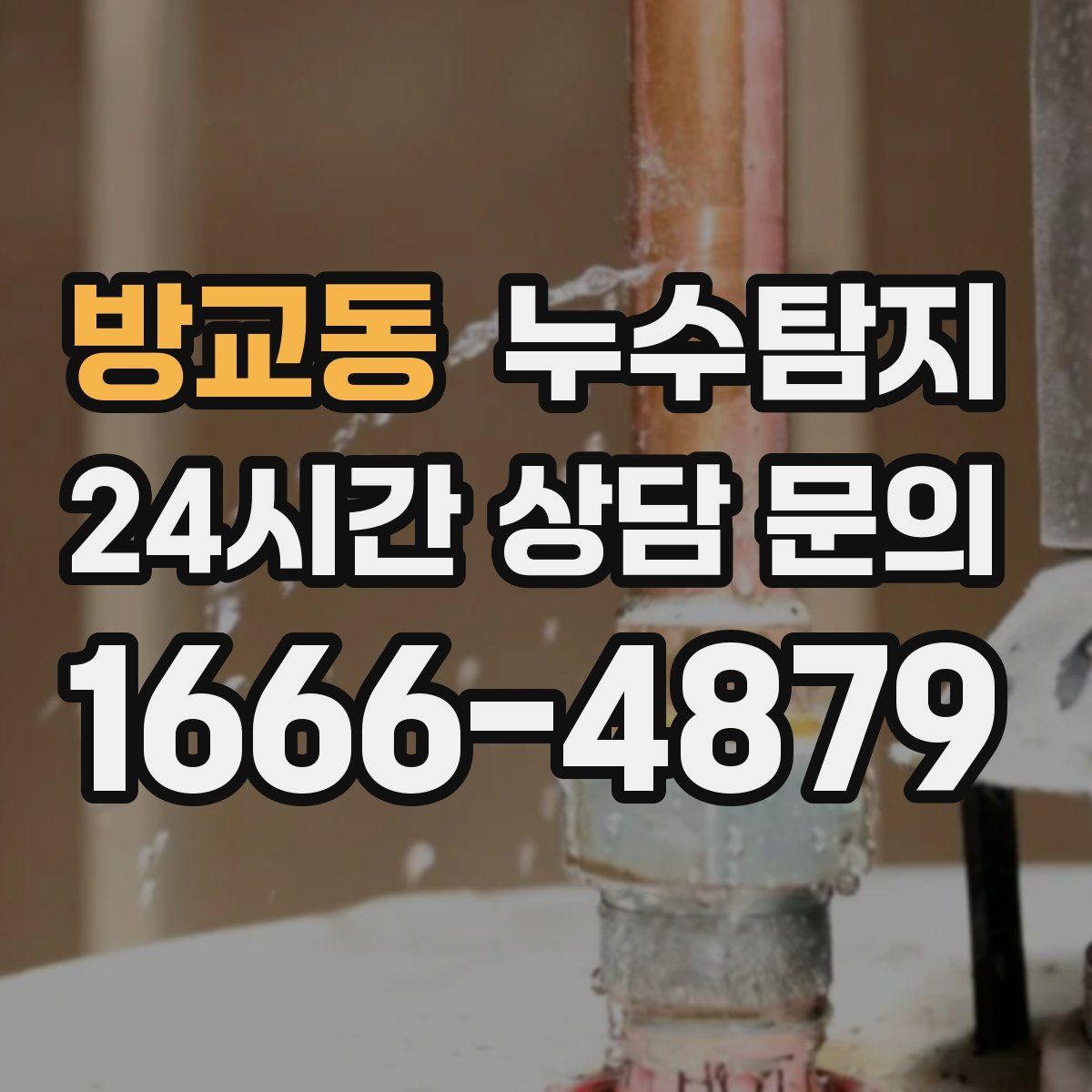 누수탐지