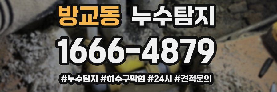 누수닥터 누수탐지