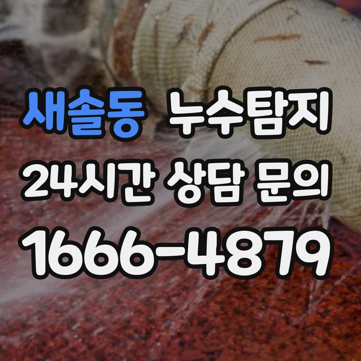 새솔동 누수탐지 아이와 반려동물을 위한 안전 점검