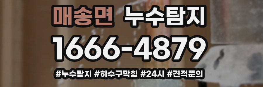 누수닥터 누수탐지