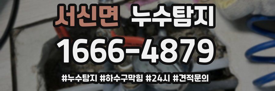 누수닥터 누수탐지