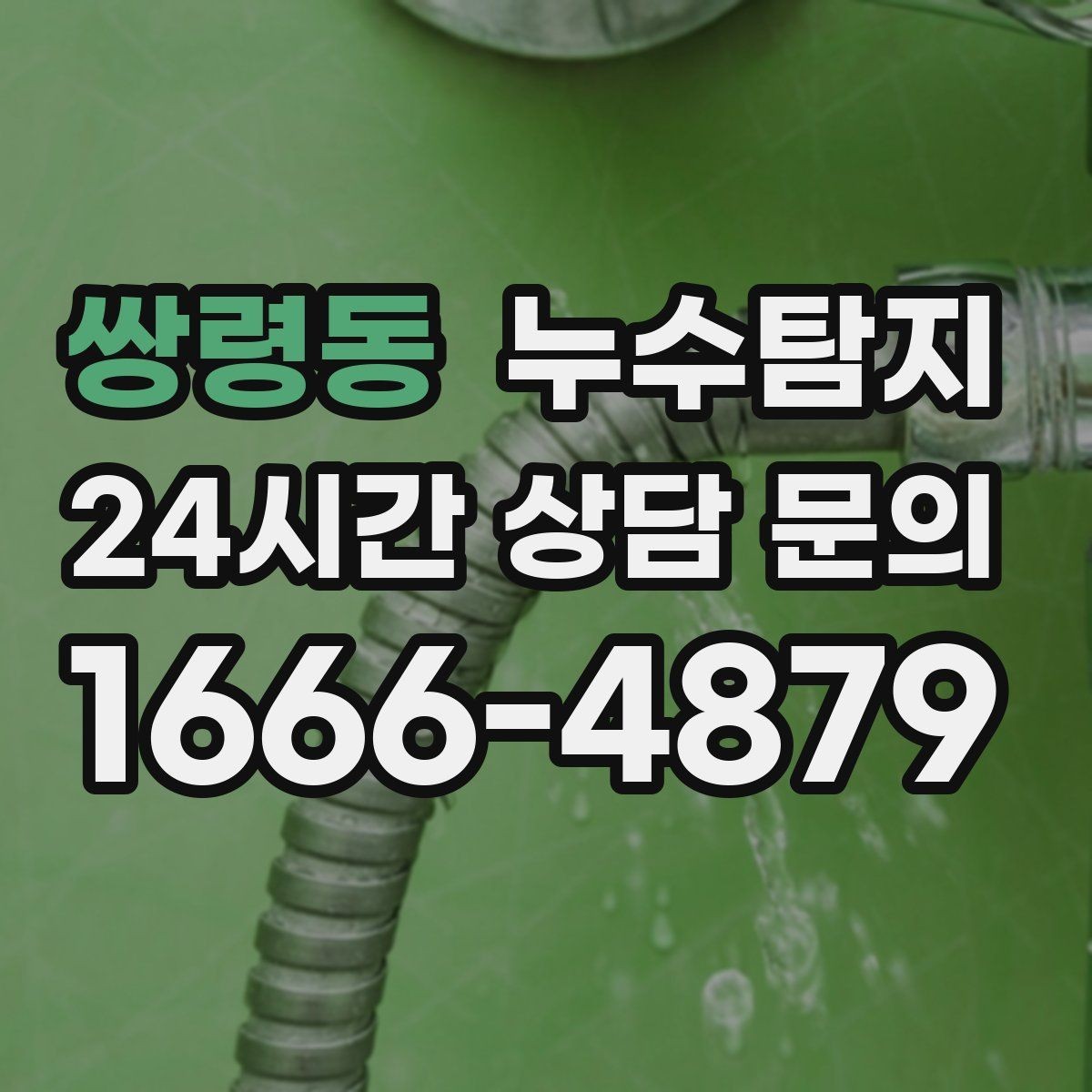 쌍령동 누수탐지 욕실 곰팡이 사라진 변화 이야기
