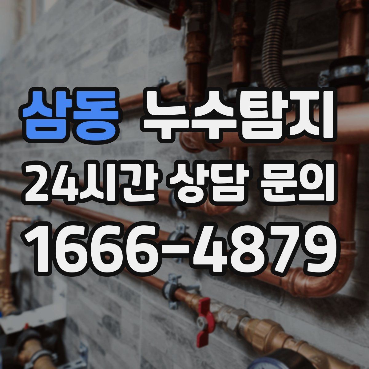 삼동 누수탐지 오래된 집 맞춤 점검 팁