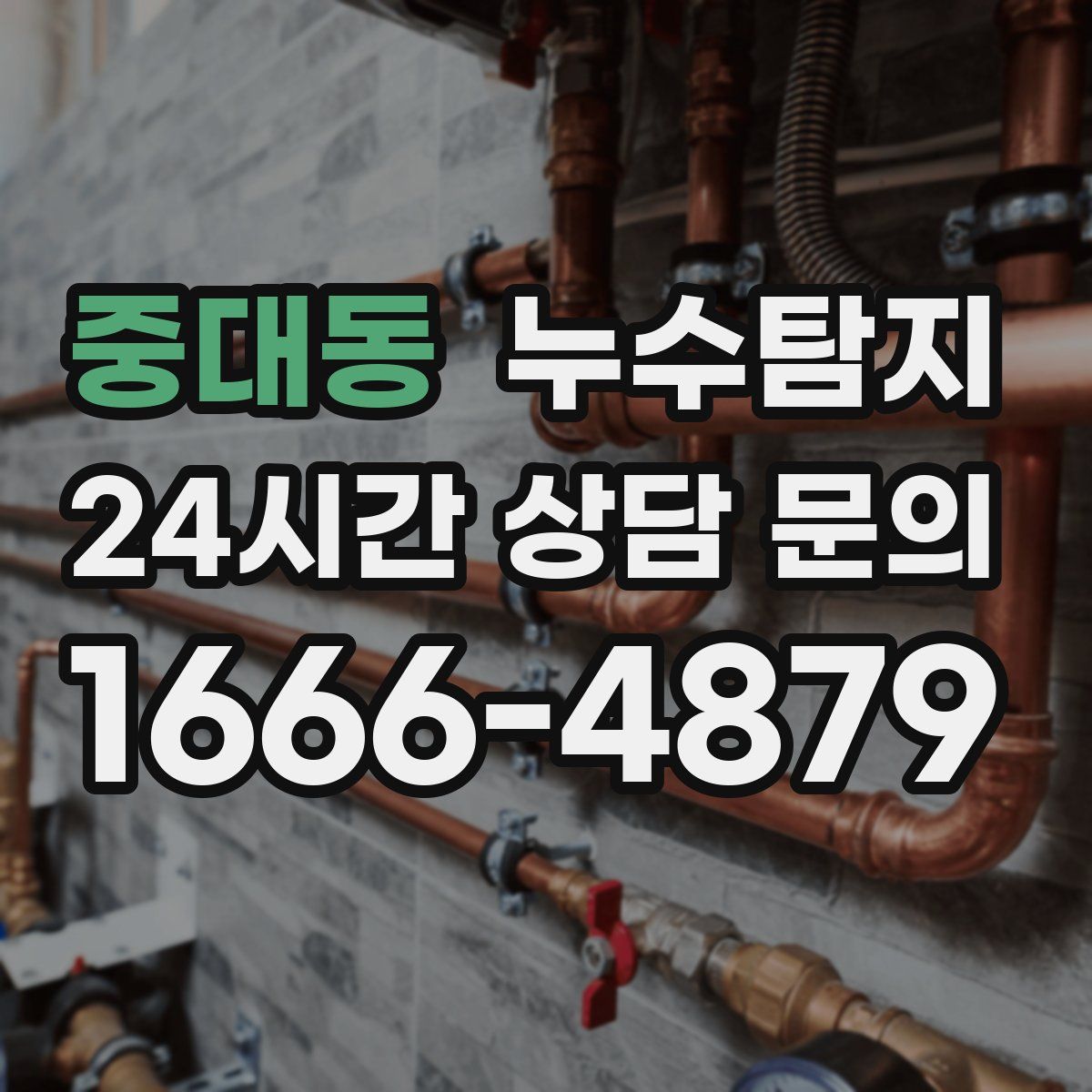 누수탐지