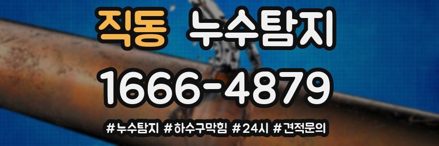 누수닥터 누수탐지