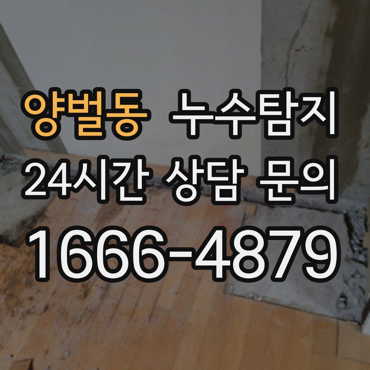 양벌동 누수탐지 벽체 내부 소리로 찾은 단서