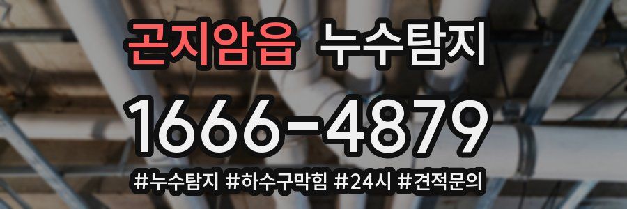 누수닥터 누수탐지