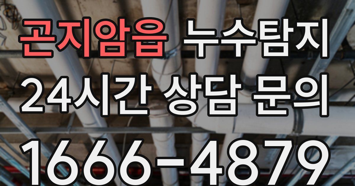 하수구막힘