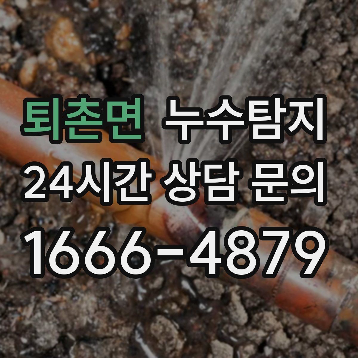 퇴촌면 누수탐지 전세 계약 전 하자 점검