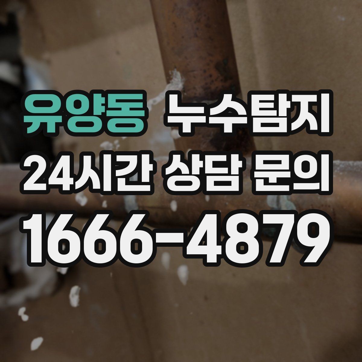 유양동 누수탐지 겨울 동파 대비 배관 체크리스트