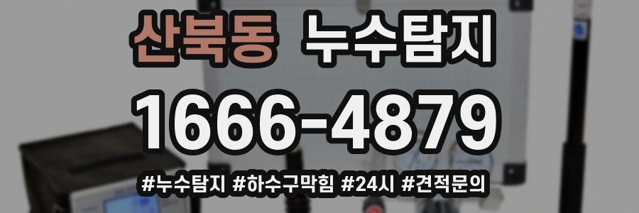 누수닥터 누수탐지