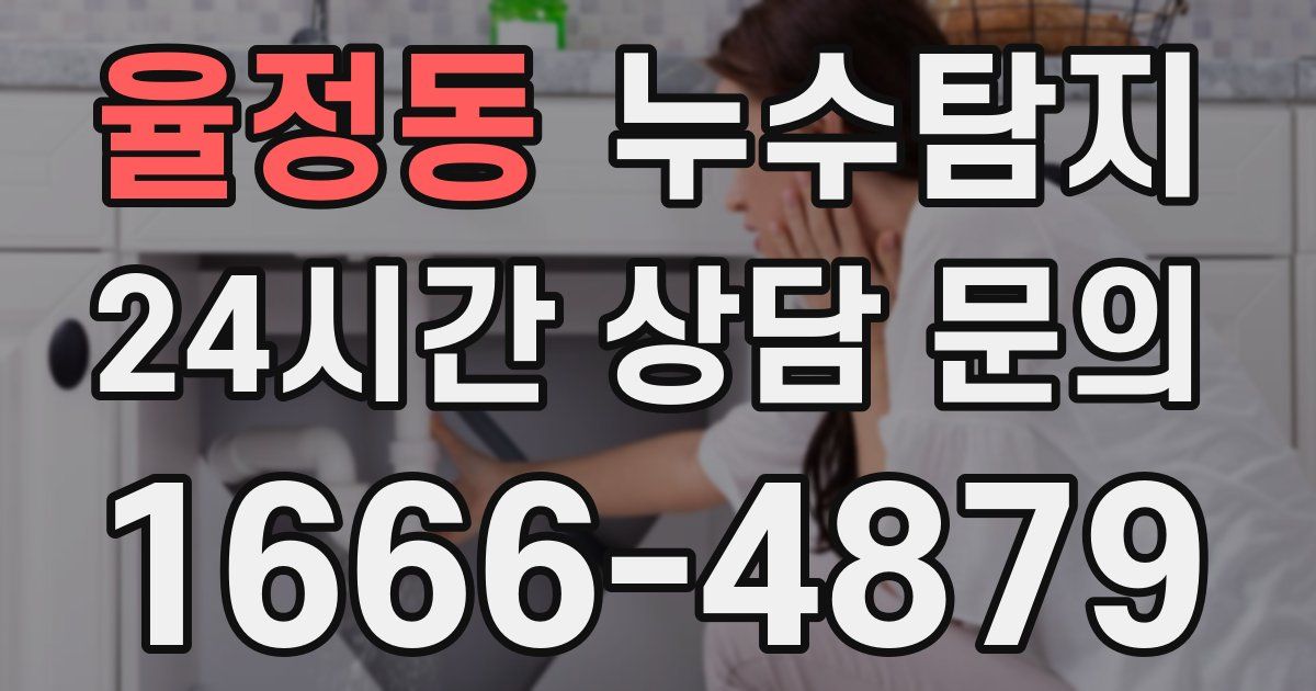 하수구막힘