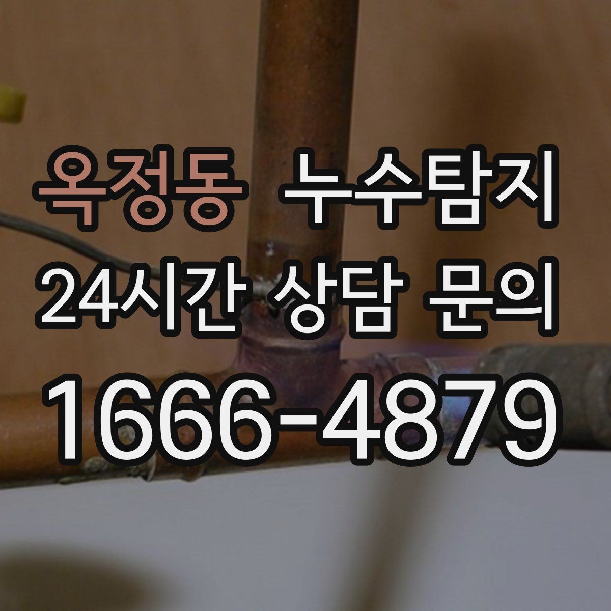 옥정동 누수탐지 계량기 이상 신호 해석 노트