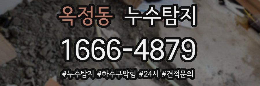 누수닥터 누수탐지