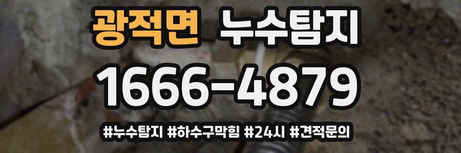 누수닥터 누수탐지