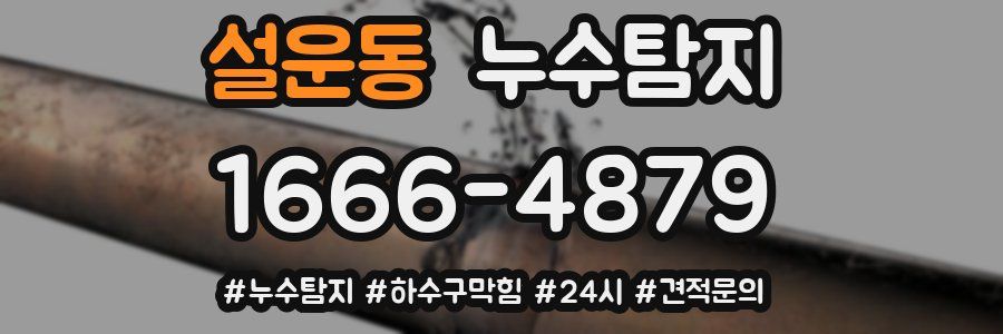 누수닥터 누수탐지