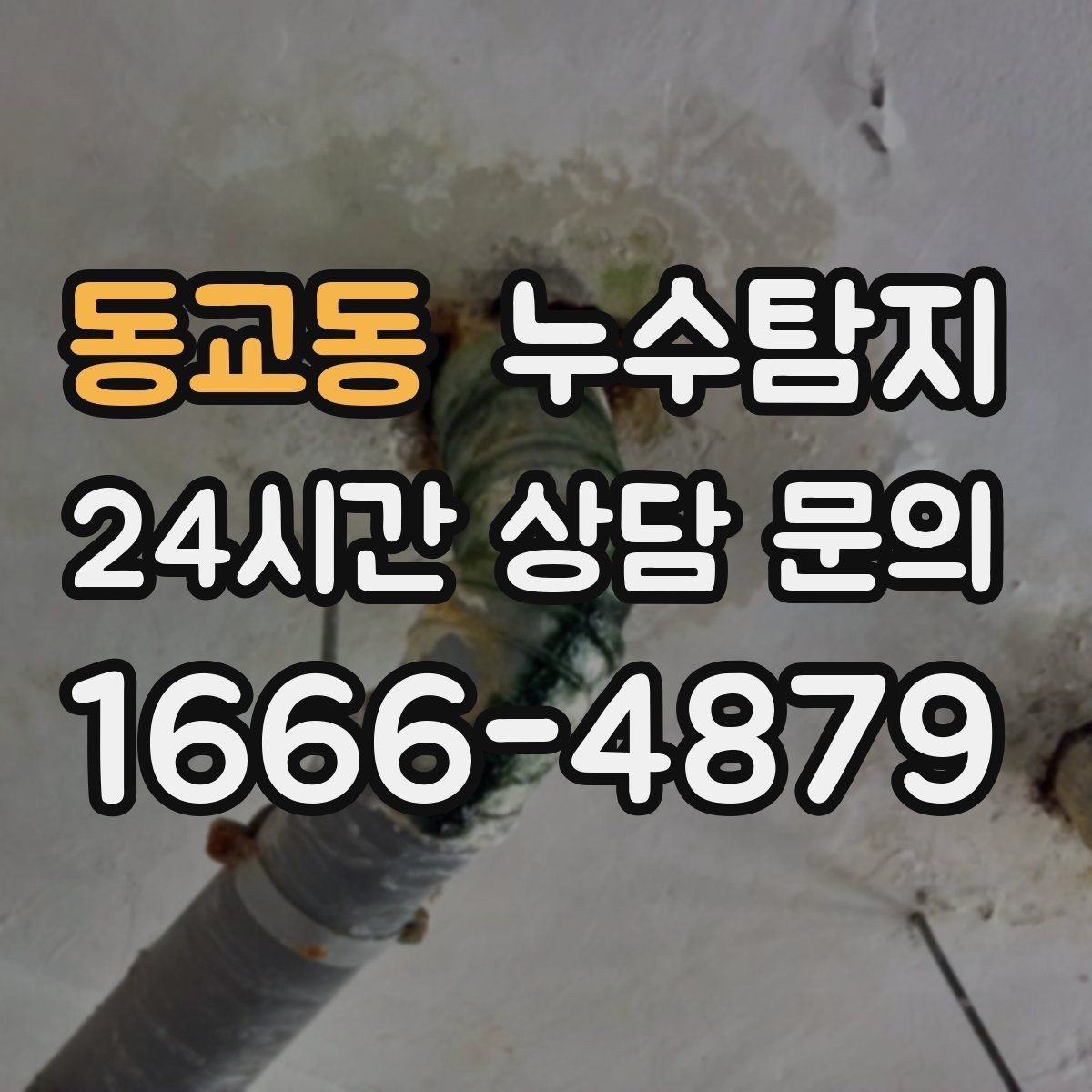 동교동 누수탐지 보고서 읽는 법 쉬운 해설