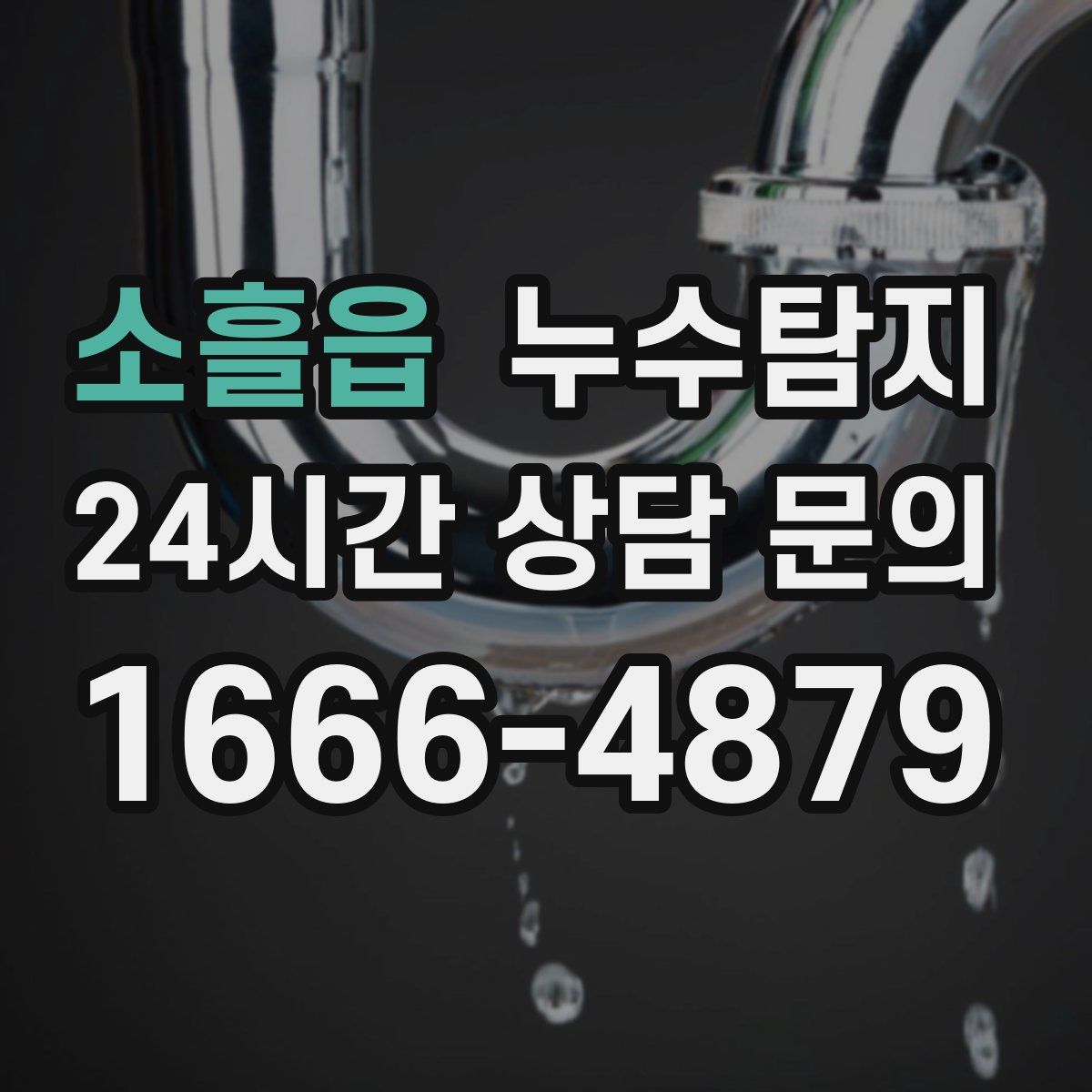 누수탐지