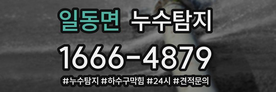 누수닥터 누수탐지