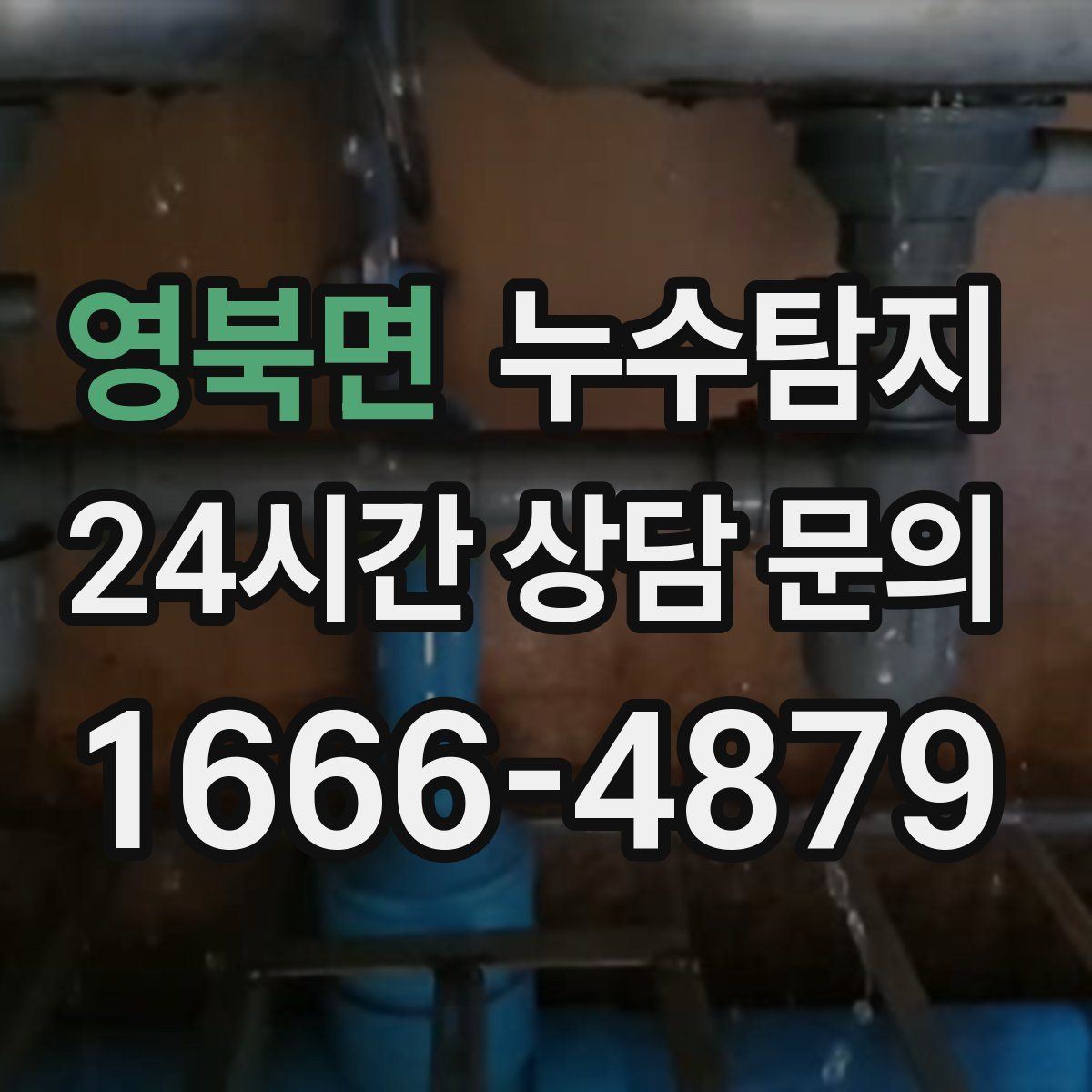 누수탐지