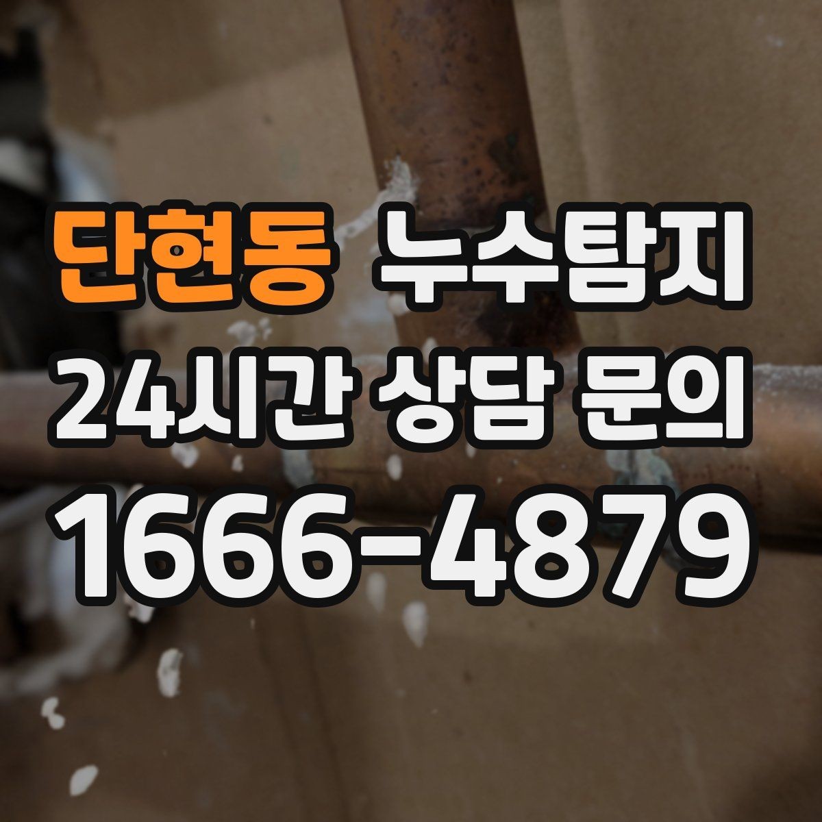 단현동 누수탐지 단열 결로와 누수 구분 가이드