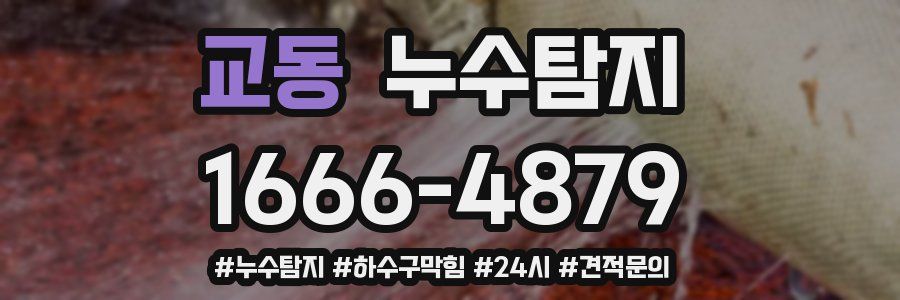 누수닥터 누수탐지