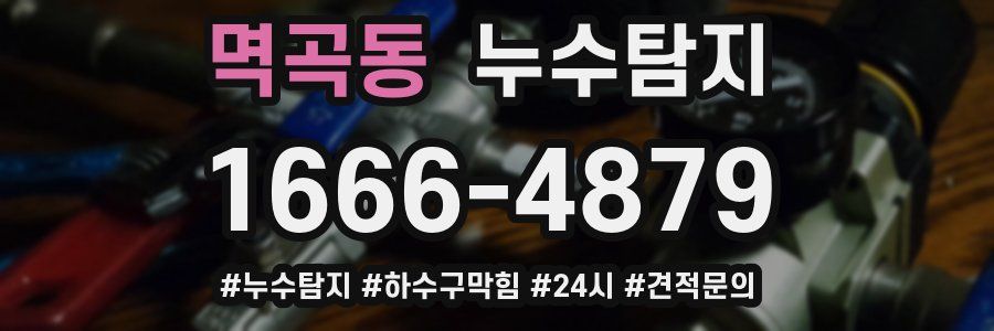 누수닥터 누수탐지