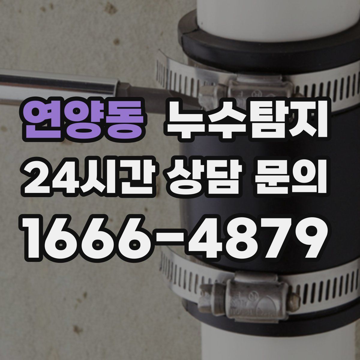 누수탐지