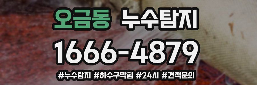 누수닥터 누수탐지