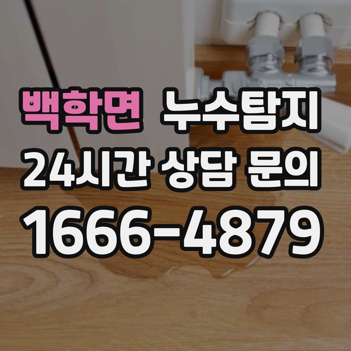 백학면 누수탐지 욕실 주방 배관 누수 점검