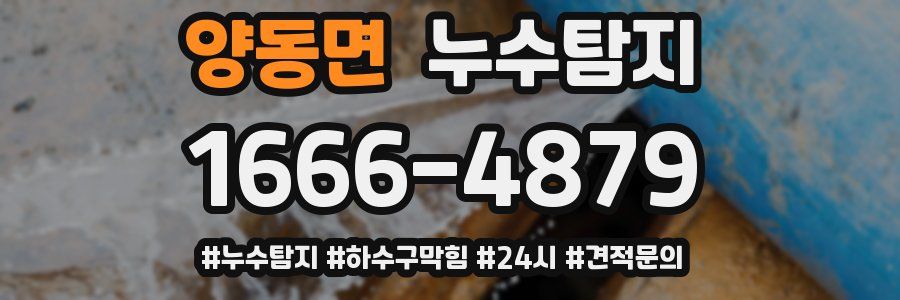 누수닥터 누수탐지